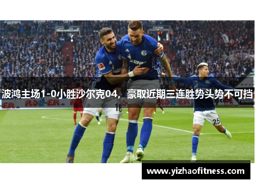 波鸿主场1-0小胜沙尔克04，豪取近期三连胜势头势不可挡
